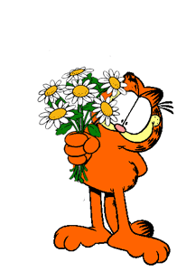 garfield016.gif