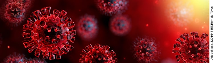 Bild Blog Janitzky-min.jpg